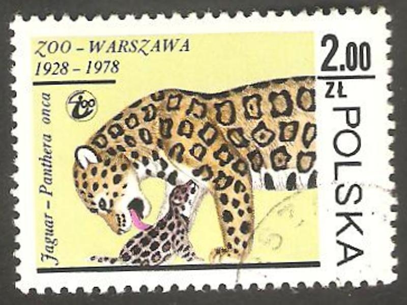 2417 - Zoo de Varsovia, jaguar