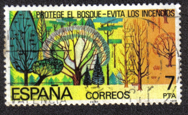 Protege el Bosque - Evita Incendios