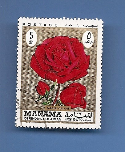 MANAMA  depend. of AJMAN  Flores  ROSA 