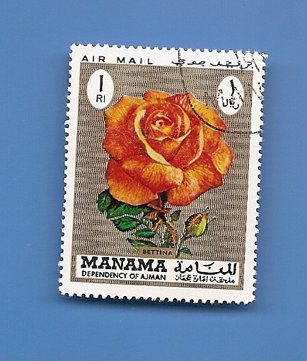 MANAMA depend. of AJMAN Flores ROSA 