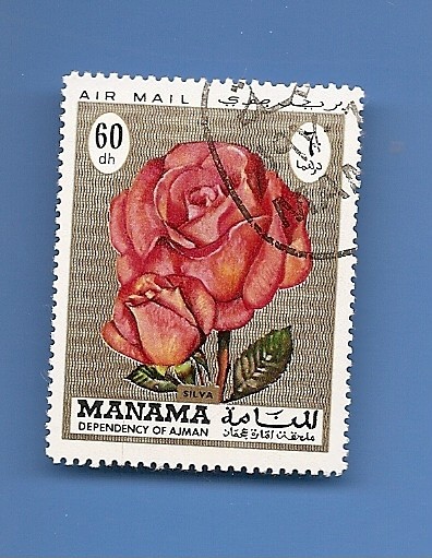 MANAMA depend. of AJMAN Flores ROSA 