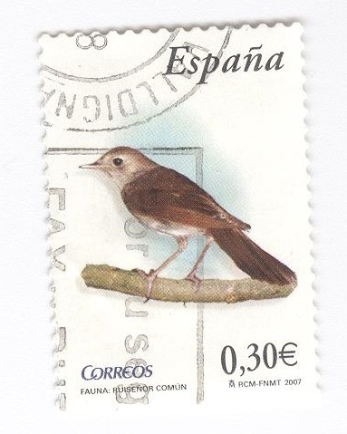 Fauna.Ruiseñor común