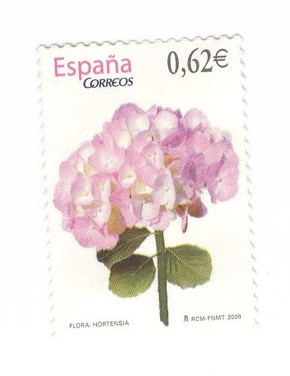 Flora.Hortensia