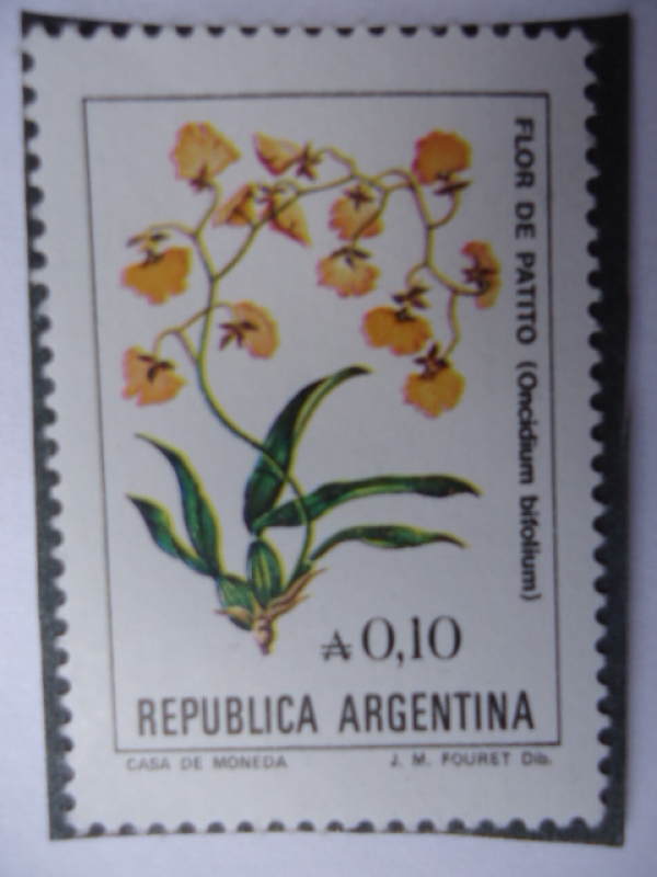 Flor de Patito (Oncidium Bifolium)