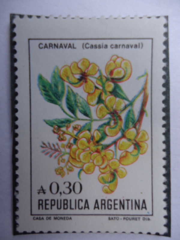 Carnaval (Cassia Carnaval)