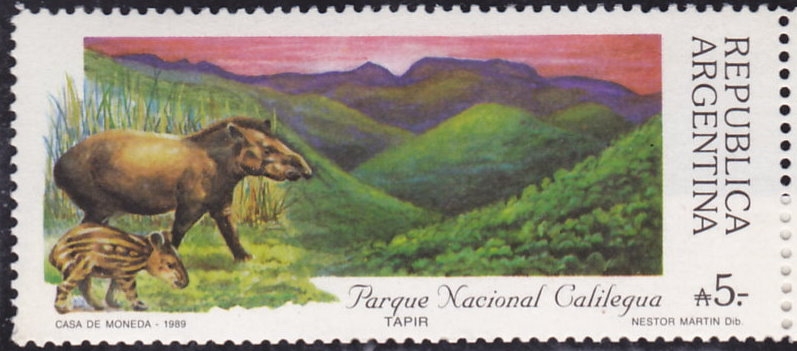 Tapir