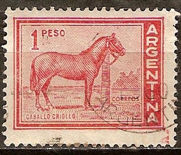 Caballo Criollo.