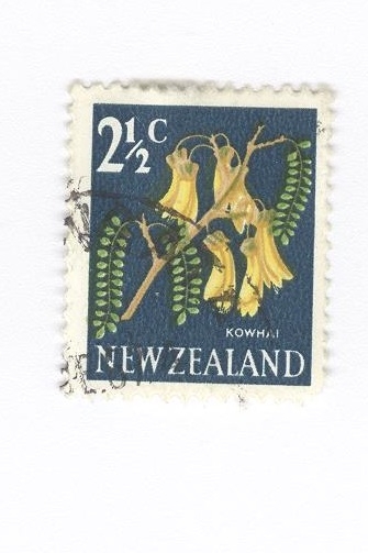 Kowhai