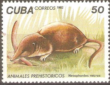 ANIMALES  PREHISTÒRICOS.  NESOPHONTES  MICRUS.