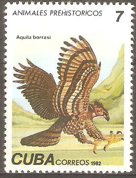 ANIMALES  PREHISTÒRICOS.  AQUILA  BORRASI.