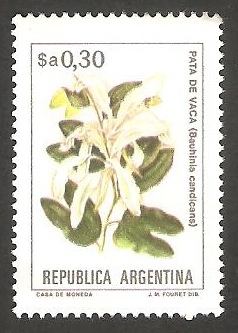 1355 - Flor bauhinia candicans