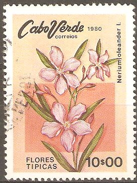 FLORES  TÌPICAS.  NERIUM  OLEANDER.