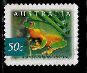 orange thighed tree frog