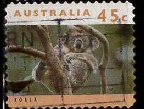 KOALA