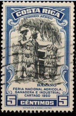 Feria Agrícola - El banano