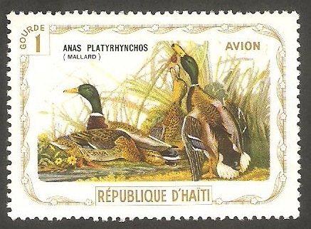 Fauna, anas platyrhynchos