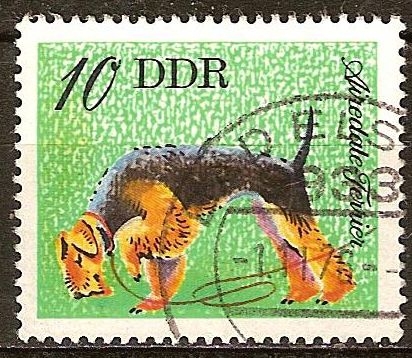 Perros-Airedale Terrier (DDR).