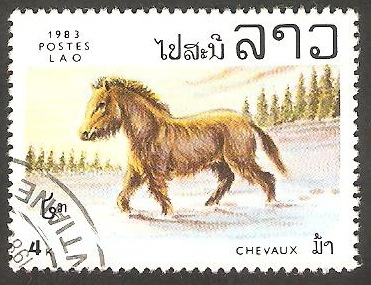 Caballo de raza