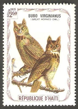 Fauna, búhos