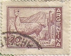 Llama