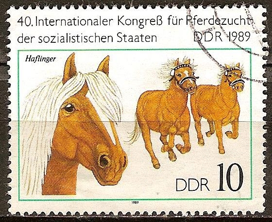 40a Congreso Internacional para la cría de caballos de los estados socialistas(DDR).