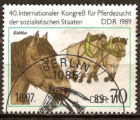 40a Congreso Internacional para la cría de caballos de los estados socialistas(DDR).