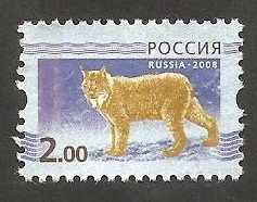 7056 - Un lince