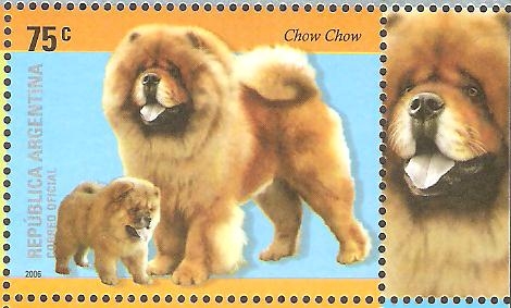 RAZAS  CANINAS.  CHOW  CHOW.