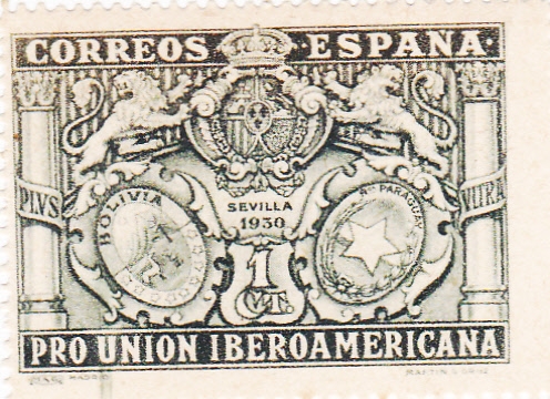 PRO UNION IBEROAMERICANA(14)