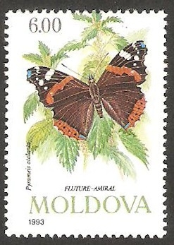 Mariposa