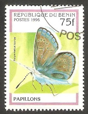 Mariposa