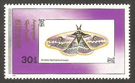 Mariposa