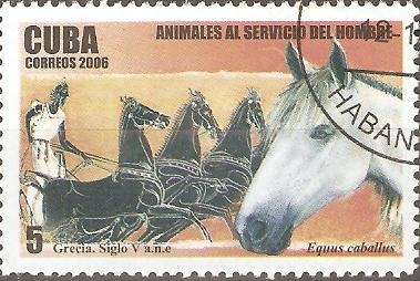 CABALLOS.  ANIMALES  AL  SERVICIO  DEL  HOMBRE.