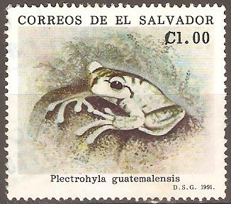 ANFIBIOS.  PLECTROHYLA  GUATEMALENSIS.