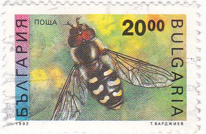 Abeja