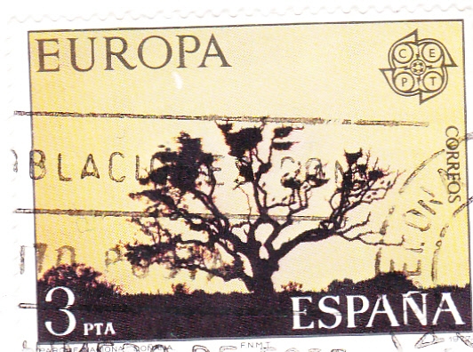 Europa Cept- Parque de Doñana (16)