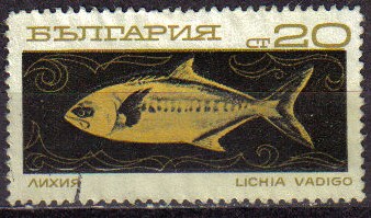 BULGARIA 1969 Michel 1954 SELLO PECES DEL MAR Yvert1539