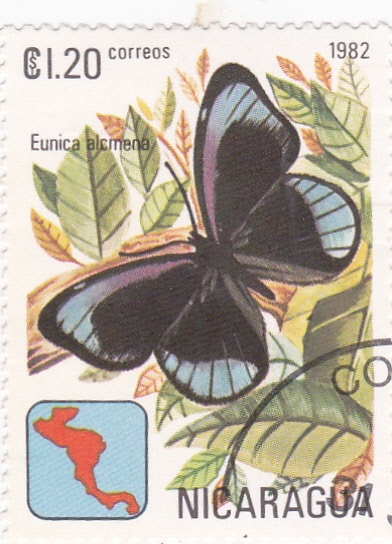 Mariposa