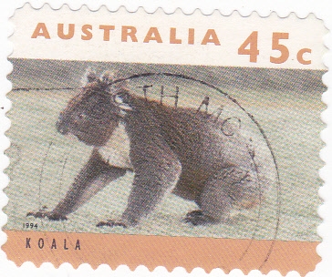 Koala