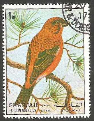 Sharjah - Pájaro