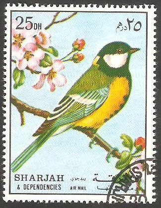 Sharjah - Pájaro