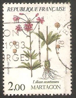 Martagon, lilium de montaña 