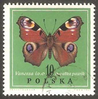 1651 - Mariposa vanessa io