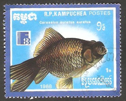 Kampuchea - Fauna marina