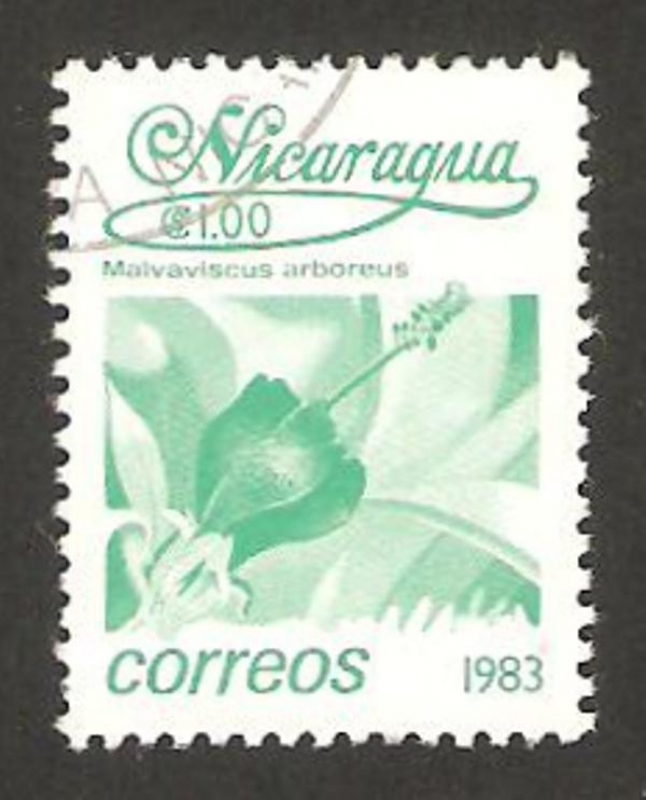 1255 - flor malvaviscus arboreus