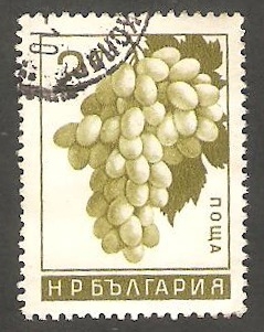 Racimo de uvas