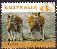 AUSTRALIA 1993 Scott 1276 Sello Animales Dos Canguros adultos Two adult Kangaroos Usado Michel 1404