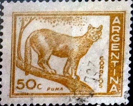 Intercambio 0,20 usd 50 cents. 1960