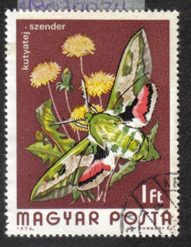 Mariposas