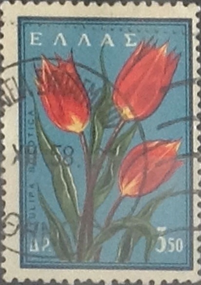 3,50 d. 1958